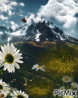 Margarits de montaña animovaný GIF