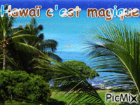 hawai - Gratis animerad GIF