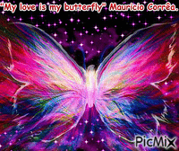 My love is my butterfly - GIF animado gratis