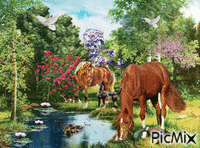 horses a dog, a cat, ducks, and a squirrelplaying around a stream . Gif Animado