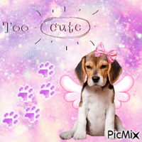Beagle puppy GIF animé