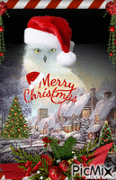 Christmas owl アニメーションGIF