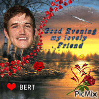Good Evening my lovely Friend Bert geanimeerde GIF