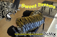 HORANGHAE hoshi  SWEET DREAMS <3 - GIF animé gratuit