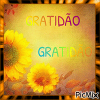 GRATIDÃO - Безплатен анимиран GIF