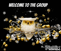 welcome owl animált GIF