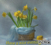 Have a nice evening! - GIF animate gratis