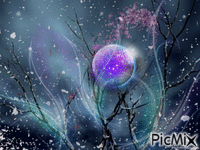 Luna de invierno - GIF animé gratuit