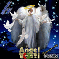 angel 动画 GIF