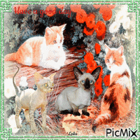 Have a good day. Cats 动画 GIF