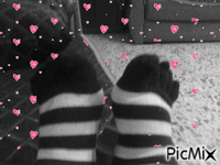 guanti da piedi - Gratis geanimeerde GIF