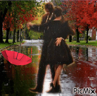 Nous dansons sous la pluie - Ücretsiz animasyonlu GIF