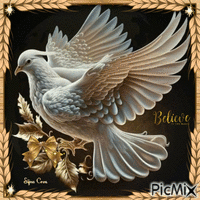 White dove - Ingyenes animált GIF