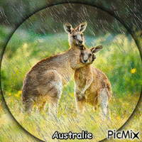 Rain for Australia - Darmowy animowany GIF