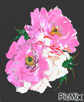 kvety animēts GIF