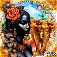 African Beauty - GIF เคลื่อนไหวฟรี