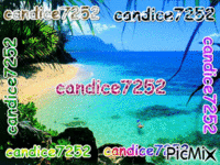 candice7252 GIF animé