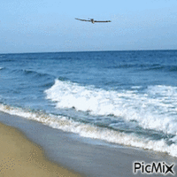 mare bellissimo - Free animated GIF