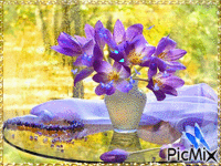 Очарование цветка - Besplatni animirani GIF