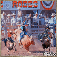 Cowboy-Stierreiten beim Rodeo animowany gif