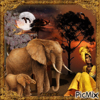 African elephants... - Zdarma animovaný GIF