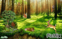 Forêt - 免费动画 GIF