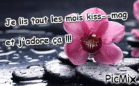 bannière kiss--mag 2 - Бесплатный анимированный гифка