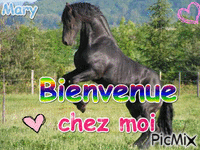 pour Margaux caballos - Ingyenes animált GIF