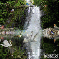 A la cascade - Darmowy animowany GIF