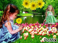 Цветы - GIF animé gratuit