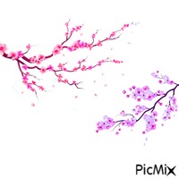 pink and purple sakura - GIF animé gratuit
