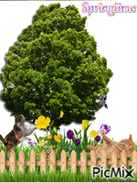 springtime - Darmowy animowany GIF