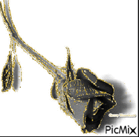 Beautiful Picmix Conny Monsieurs - Kostenlose animierte GIFs
