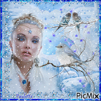 oiseaux dans la neige - Besplatni animirani GIF
