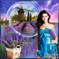 On the lavender field 动画 GIF