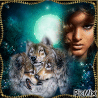 Tendresse des loups - Free animated GIF