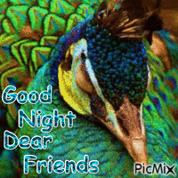 Good Night Dear Friends Peacock - 免费动画 GIF