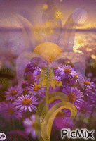 Florecientes Animated GIF