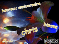 heureux anniversaire christelle - Безплатен анимиран GIF