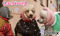 QUEL FROID - Free animated GIF