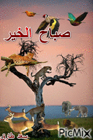 صباحكم سعيد GIF animasi