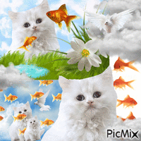 kittens umm GIF animado