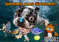 Spring has Sprung! - GIF animasi gratis