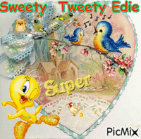 Sweety Tweety GIF animado