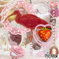 coquette strawberry scarlet ibis - GIF animé gratuit