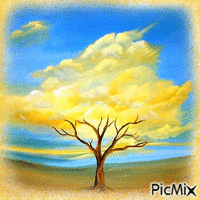 The Cloud-tree