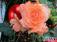 Fréz rózsa pörgő szívvel. - Animovaný GIF zadarmo
