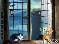 cat lighthouse animovaný GIF