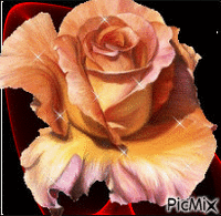rose GIF animado