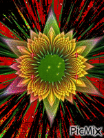 Estrella flor animovaný GIF